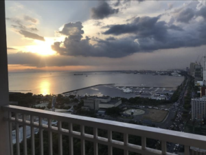 VIEW